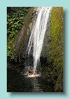 035_Jungle Paradise